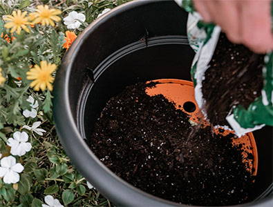 Step 4 Use less potting soil pour above planter insert 1