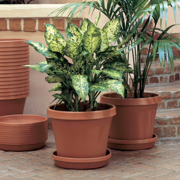 Terra Planters and Saucers