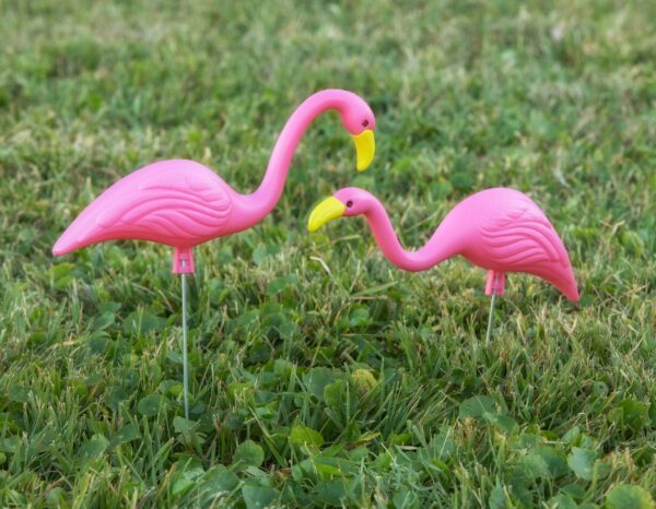 Mini Mingos Pink Flamingos on the lawn