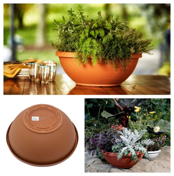 Terra 14 Inch Planter Bowl with a varety of Fresh Herbs and Plants