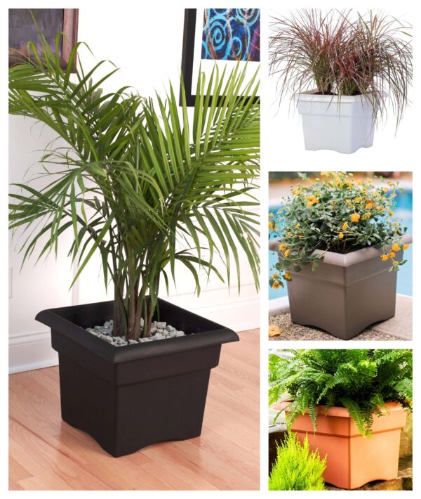 Veranda Deck Box Planter in various colors and variety of plants